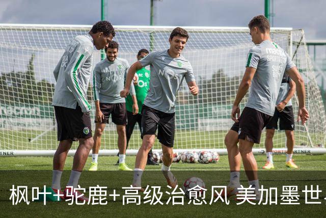 枫叶+驼鹿+高级治愈风 美加墨世界杯加拿大赛区开幕